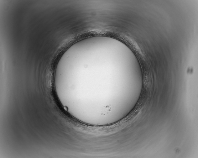 X0000103490023200810031616