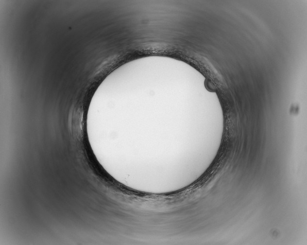 X0000103490024200810031616