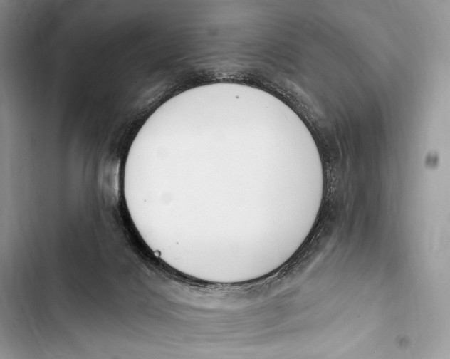 X0000103490028200810031616