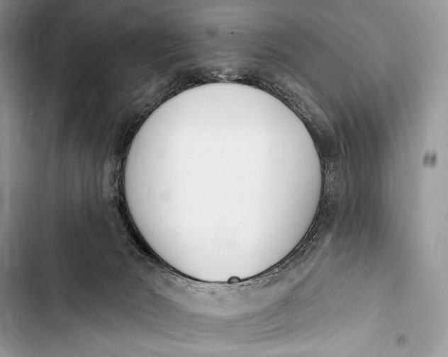 X0000103490030200810031616