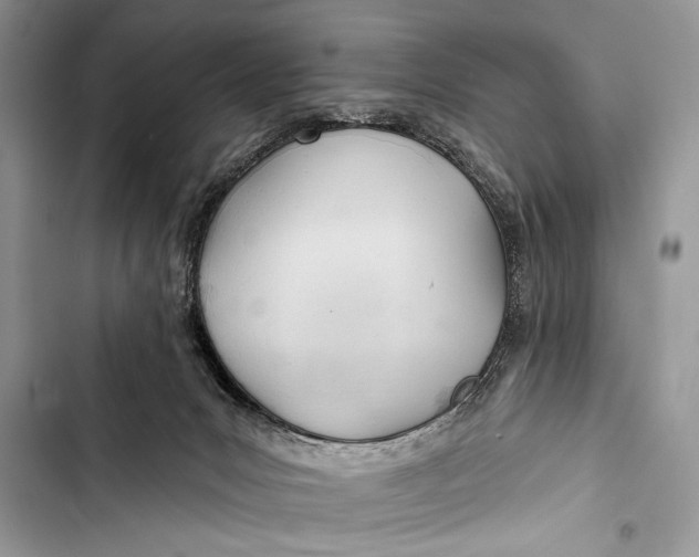 X0000103490031200810031616