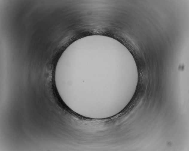 X0000103490032200810031616