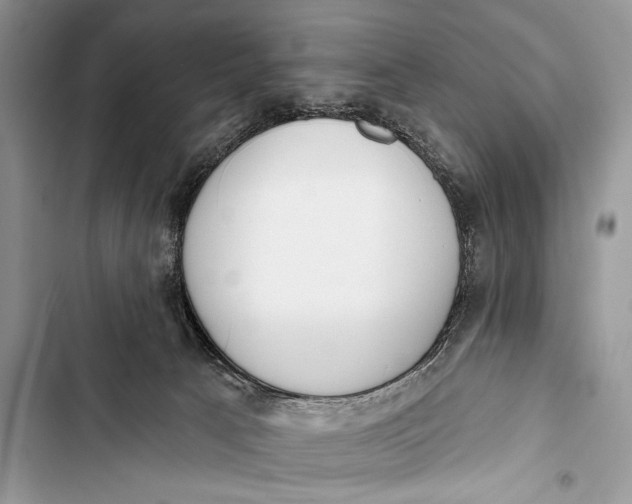 X0000103490033200810031616