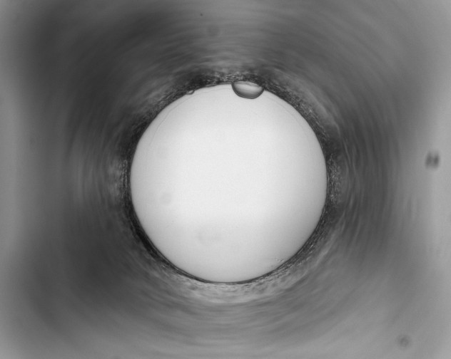 X0000103490034200810031616