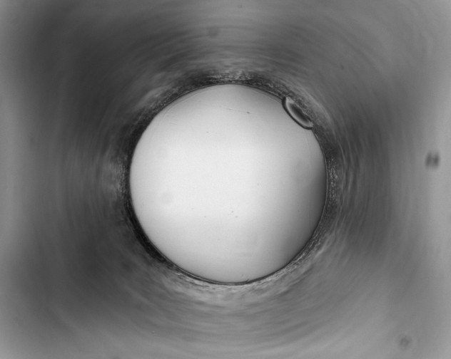 X0000103490035200810031616