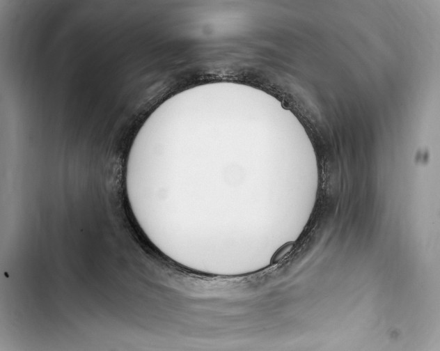 X0000103490036200810031616