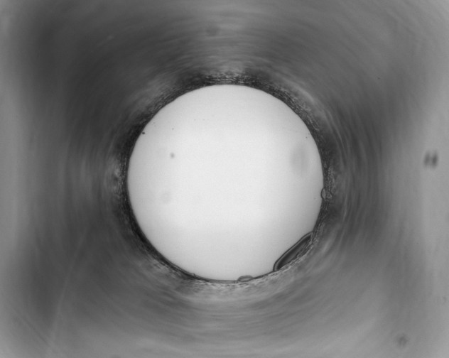 X0000103490037200810031616