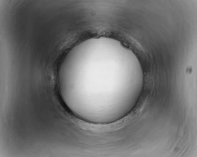 X0000103490039200810031616