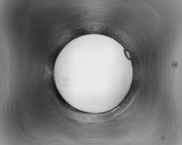 X0000103490040200810031616