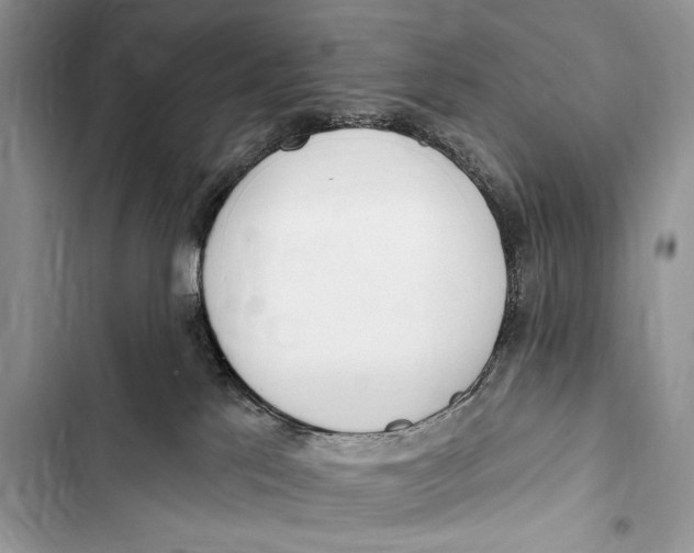 X0000103490041200810031616