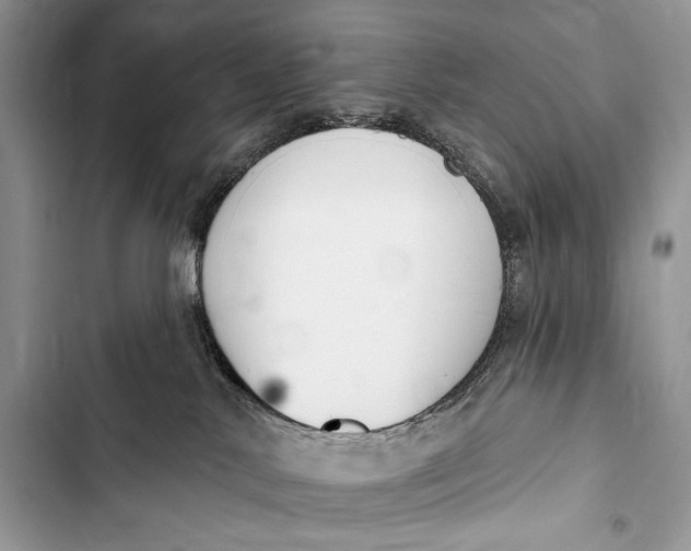 X0000103490042200810031616