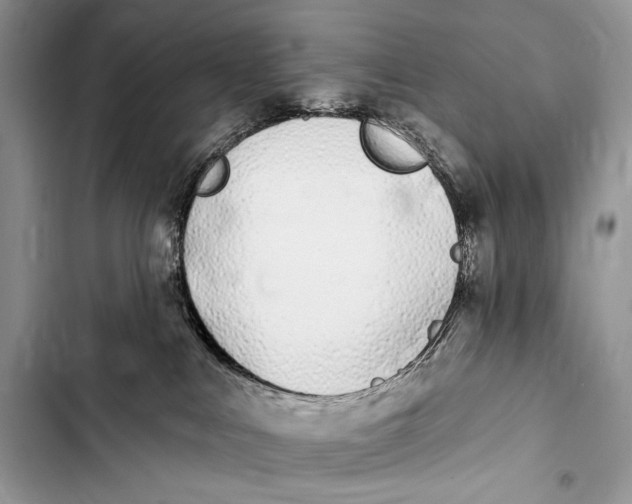 X0000103490043200810031616