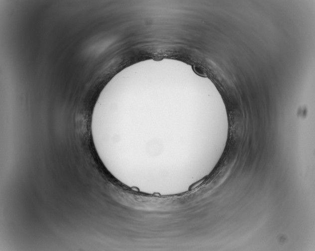 X0000103490044200810031616