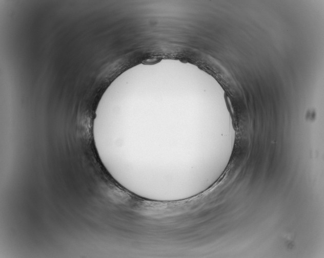 X0000103490045200810031615