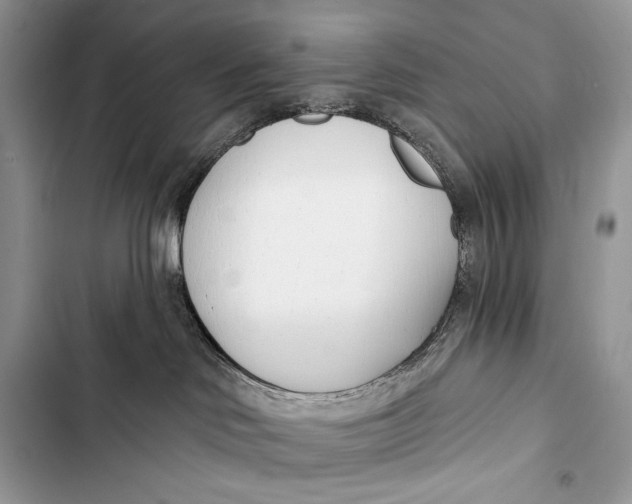 X0000103490046200810031615