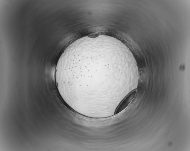 X0000103490047200810031615