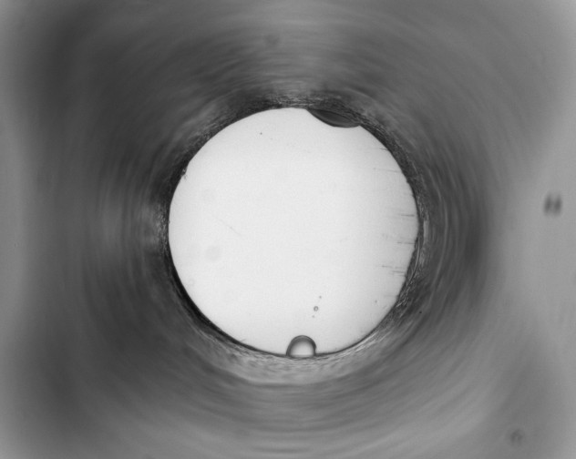 X0000103490048200810031615