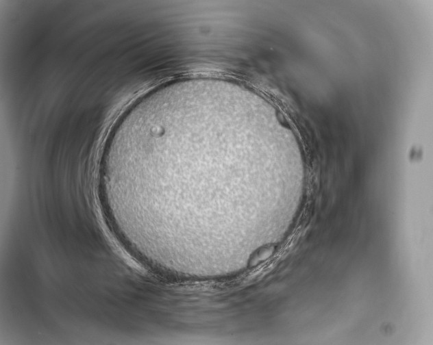 X0000103490049200810031615