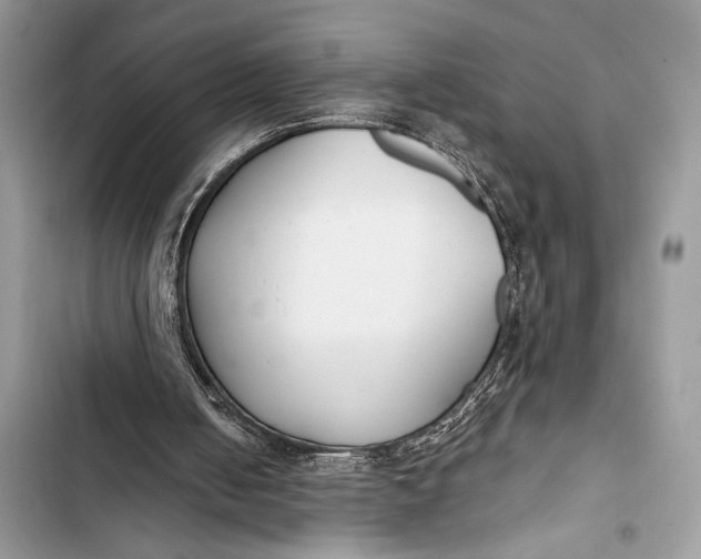 X0000103490050200810031615