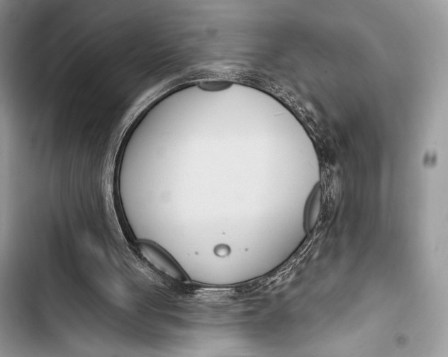 X0000103490051200810031615