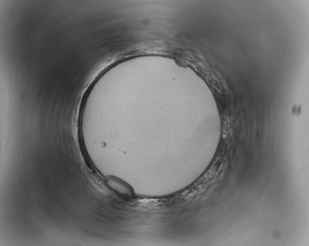 X0000103490052200810031615