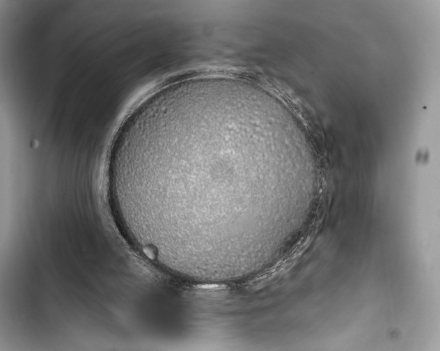 X0000103490053200810031615