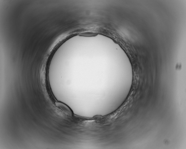 X0000103490054200810031615