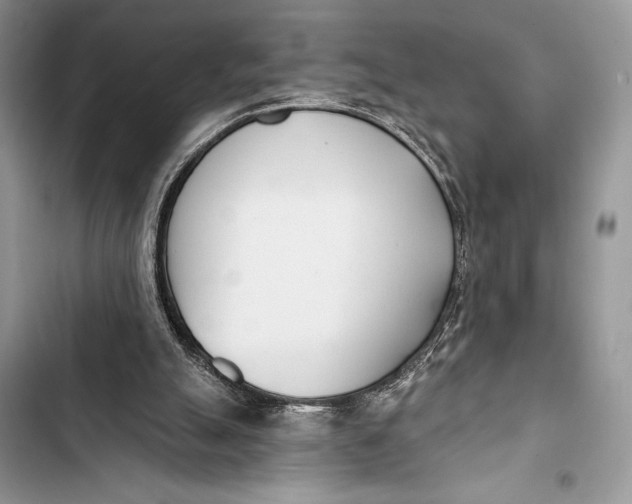 X0000103490055200810031615