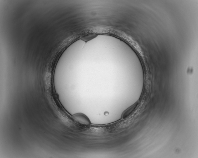 X0000103490057200810031615