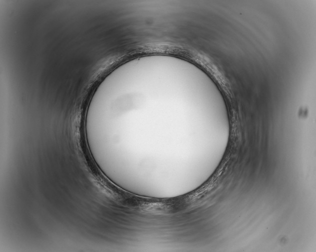 X0000103490058200810031615