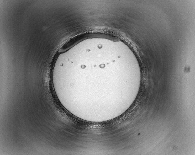 X0000103490059200810031615