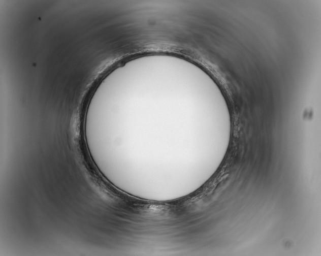 X0000103490060200810031615