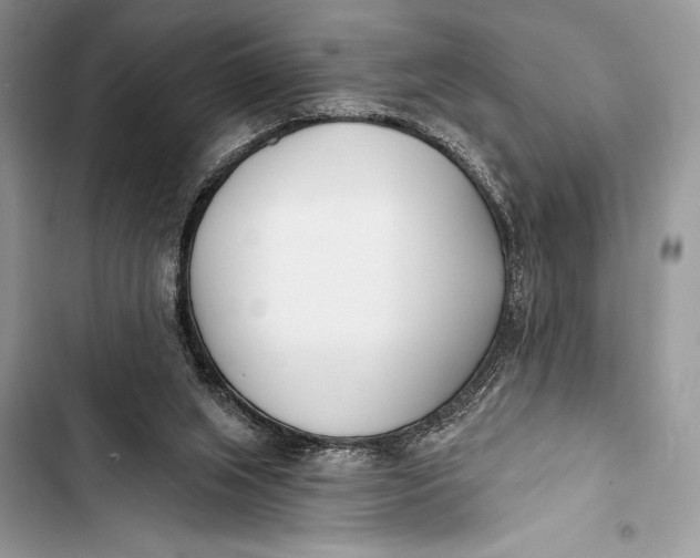 X0000103490063200810031615