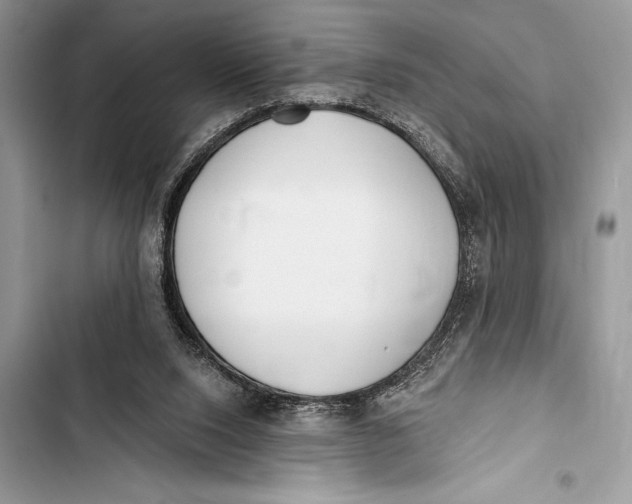 X0000103490064200810031615