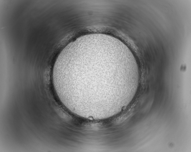 X0000103490065200810031615