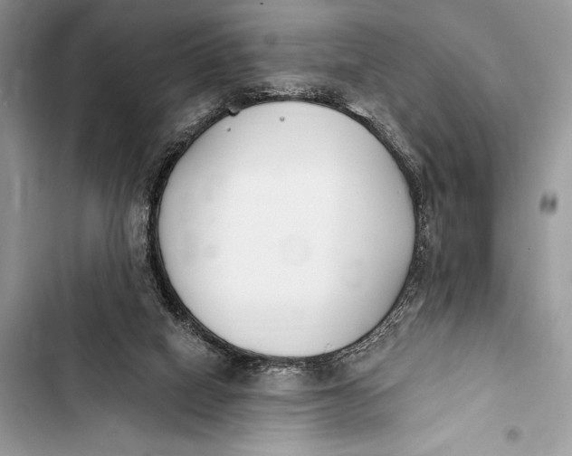 X0000103490066200810031615