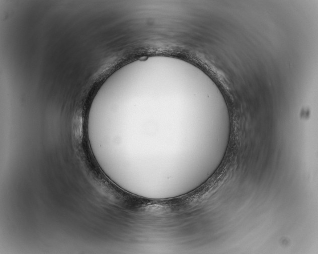 X0000103490067200810031615