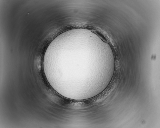 X0000103490069200810031615