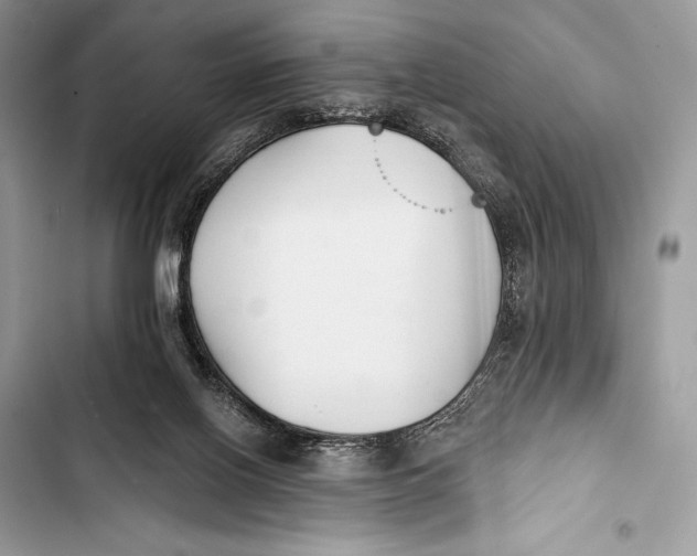 X0000103490070200810031615