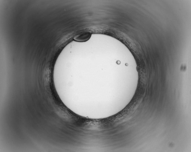 X0000103490071200810031615