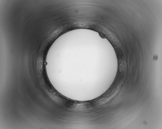 X0000103490072200810031615