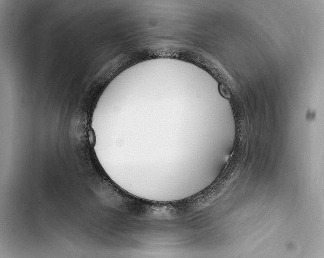 X0000103490073200810031615