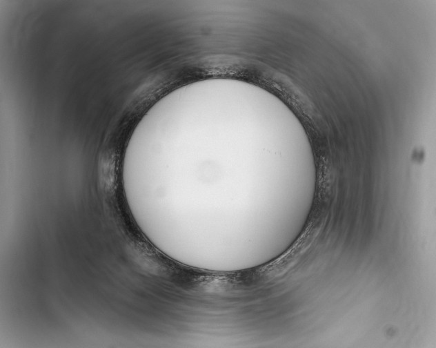 X0000103490074200810031615