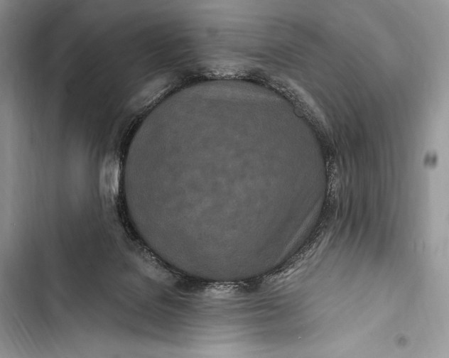 X0000103490076200810031615