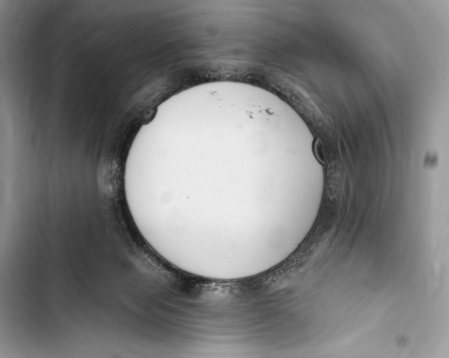 X0000103490077200810031615