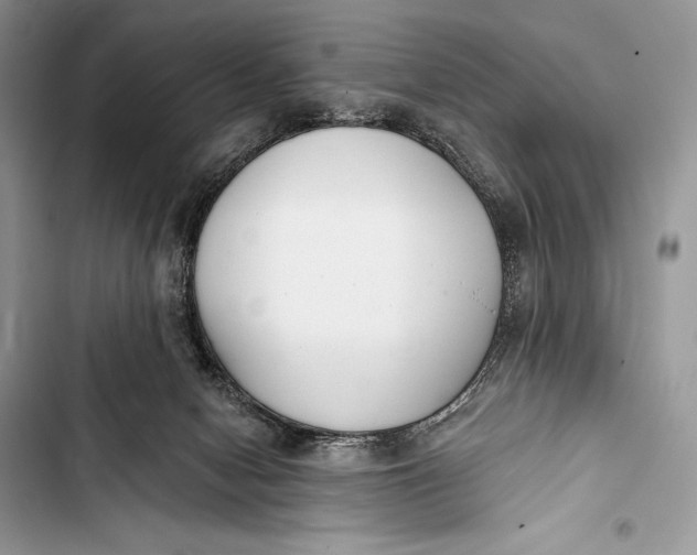 X0000103490078200810031615