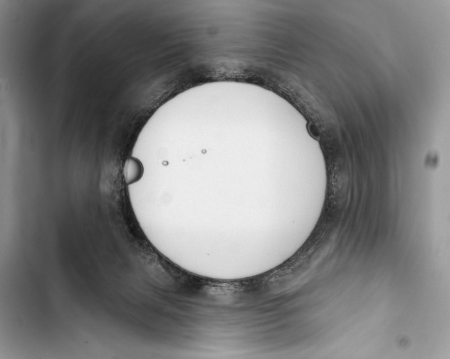 X0000103490079200810031615