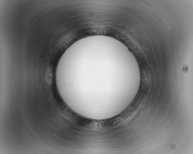 X0000103490080200810031615