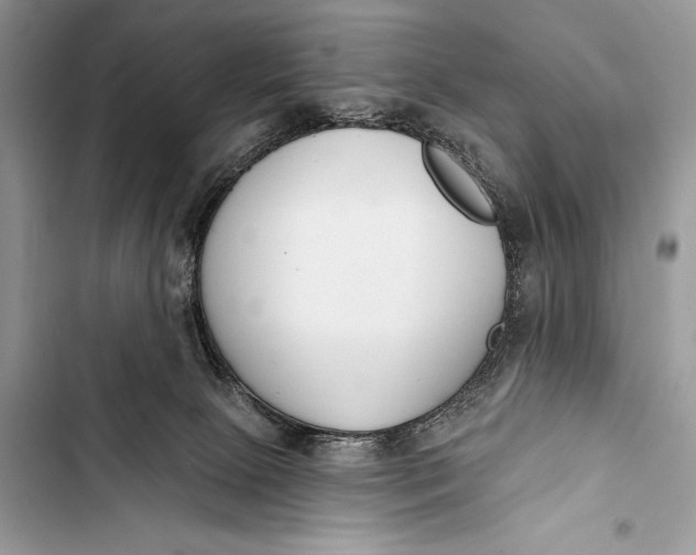 X0000103490081200810031615