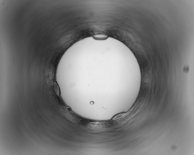 X0000103490082200810031615